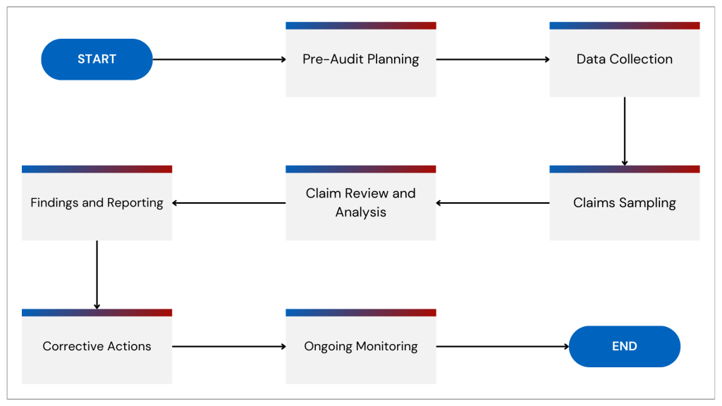 Auditing Documentation Process